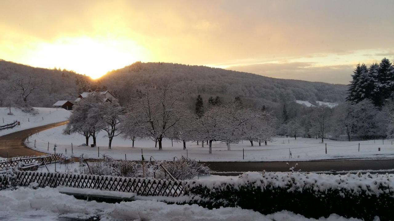 Landgasthof Gruener Baum Badenweiler Zewnętrze zdjęcie